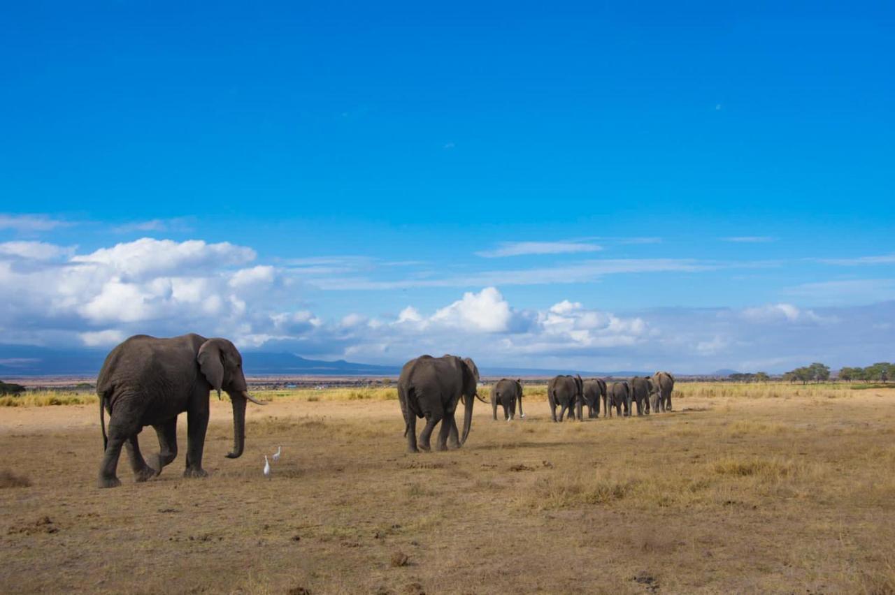 Amboseli Cultural Camping Exteriör bild