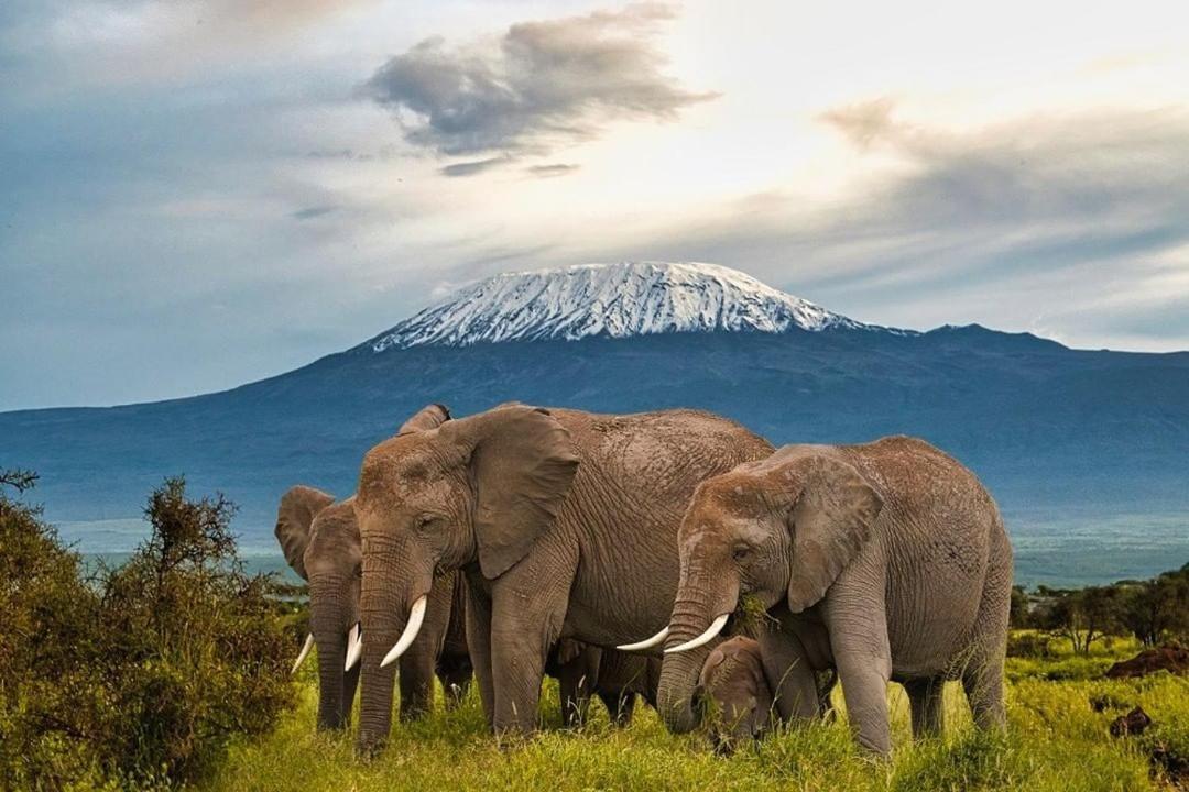 Amboseli Cultural Camping Exteriör bild