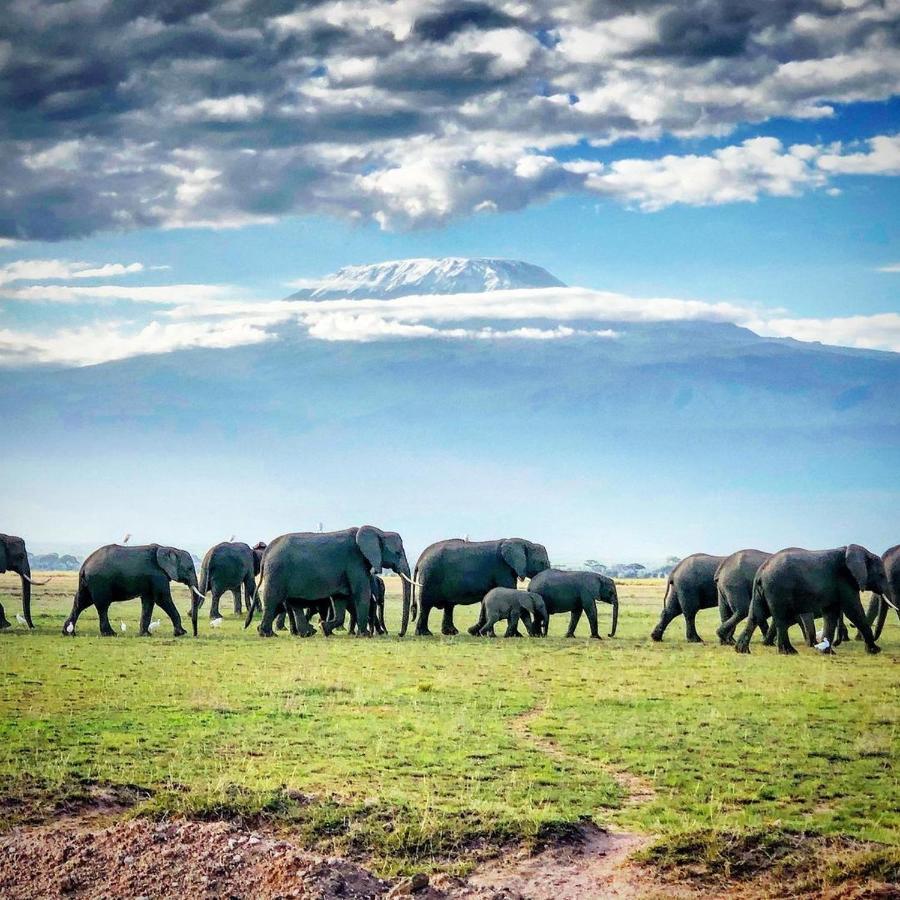 Amboseli Cultural Camping Exteriör bild
