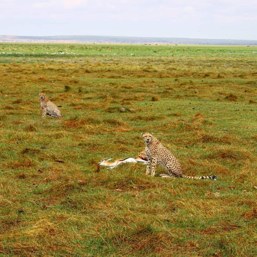 Amboseli Cultural Camping Exteriör bild